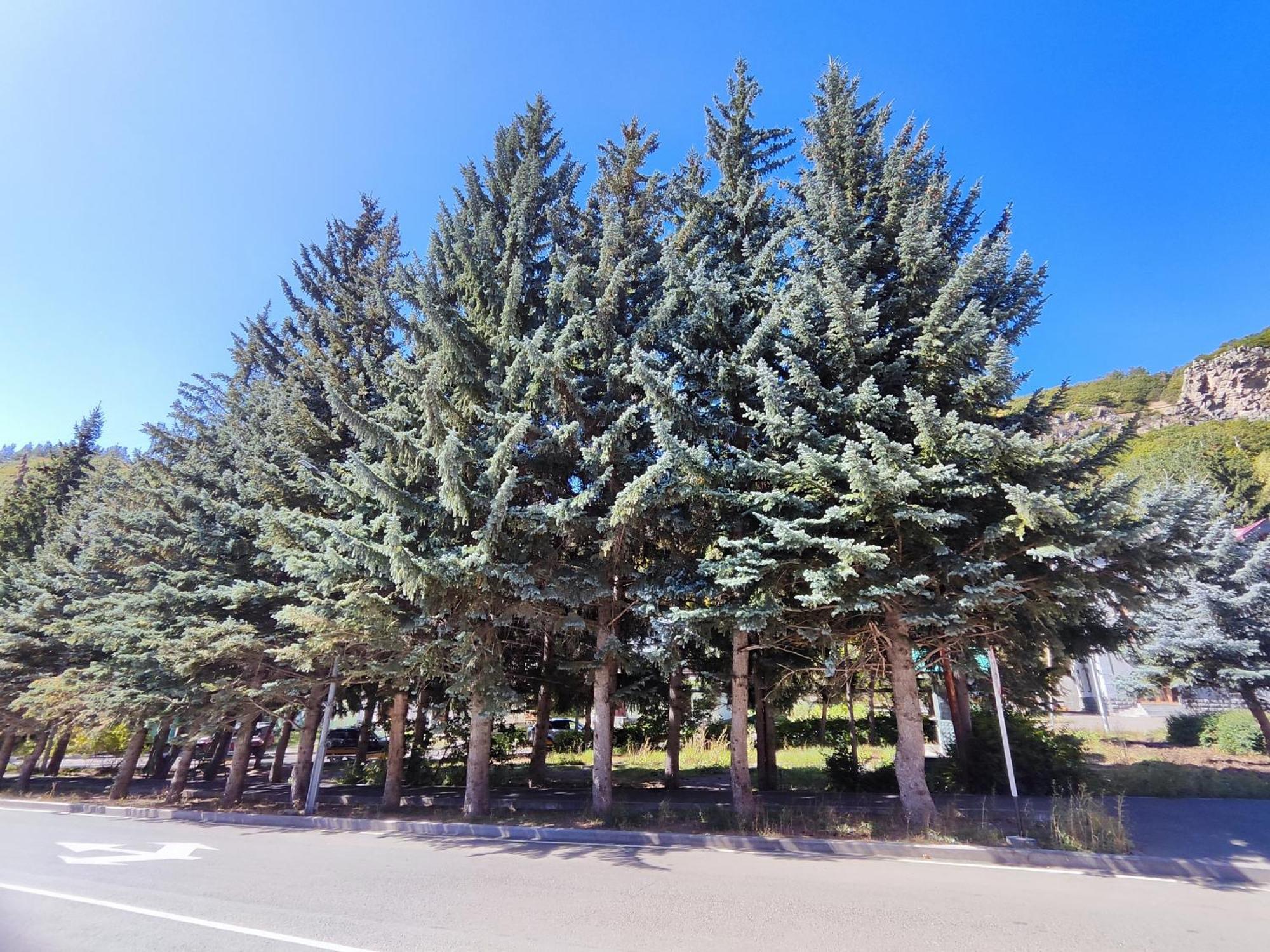 Jermuk Mini Apartment ภายนอก รูปภาพ